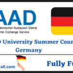 DAAD University Summer Courses in Germany 2025 | Fully Funded