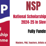 NSP National Scholarship Program 2024-25 In Slovakia | Fully Funded