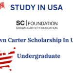 The Shawn Carter Scholarship In USA-2024