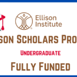 Ellison Scholars Program in the UK | Fully Funded