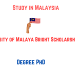 University of Malaya Bright Scholarship 2024