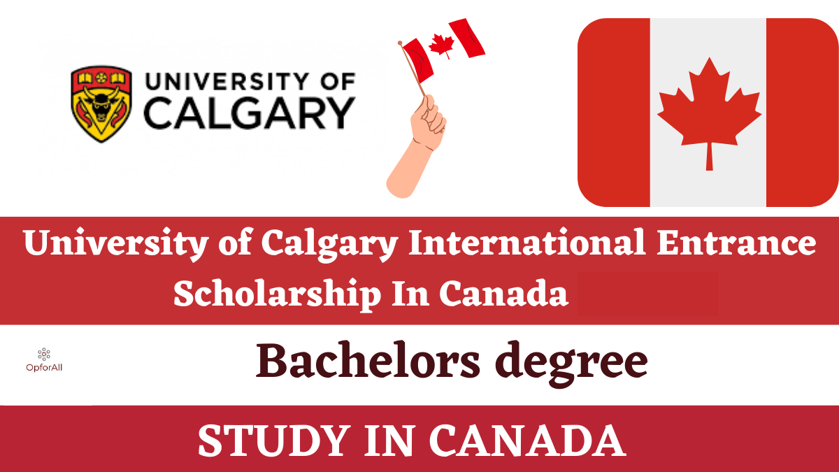 University of Calgary International Entrance Scholarship In Canada-2025